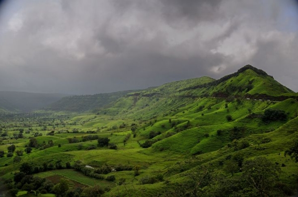 GreenMaharashtra GreenMaharashtra